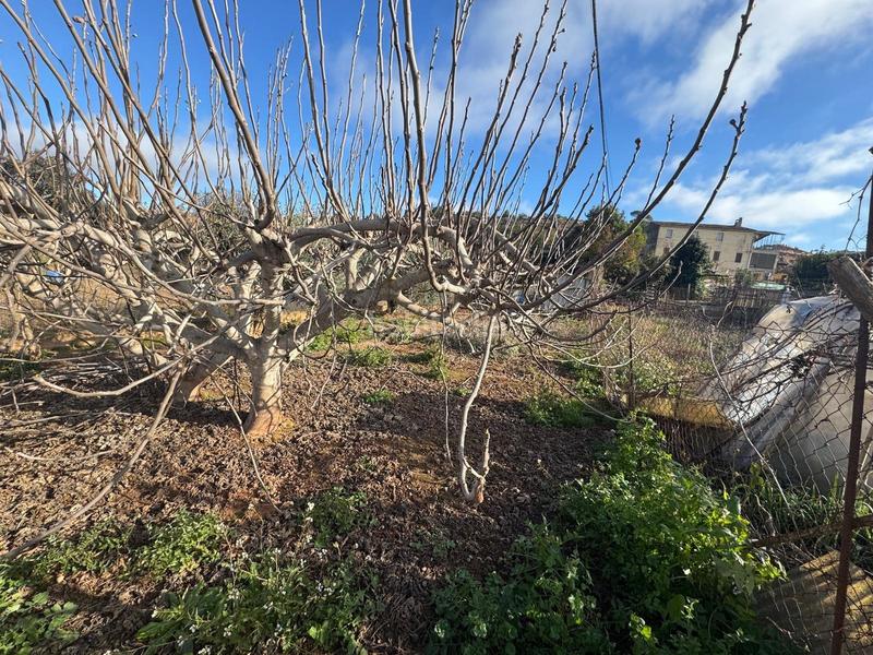 Foto 794c4ba8-9689-40c0-b0f3-813204c95352. Terreno residencial terreno en Plaça Catalunya Manresa