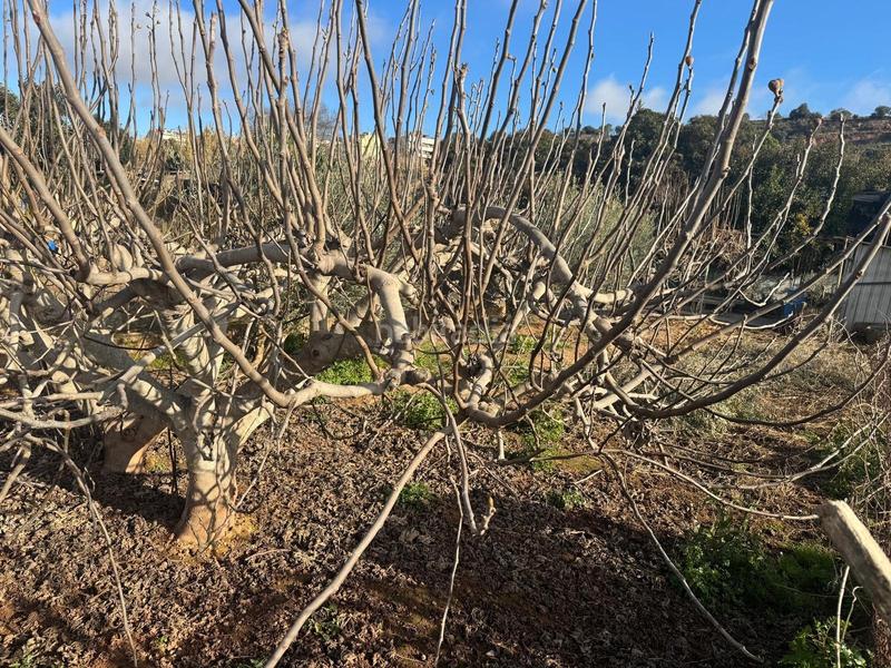 Foto ba33c3c4-cc8a-4774-a707-c4009e72ae6d. Terreno residencial terreno en Plaça Catalunya Manresa