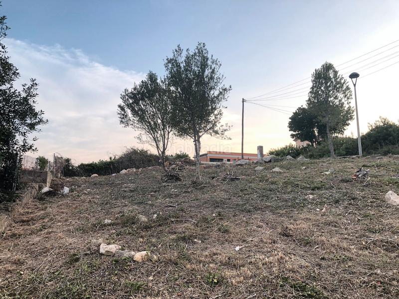 Foto b16da8d0-3aba-4e73-9c6e-ceba77e2e25a. Terrain résidentiel dans Segur de dalt Segur de Calafell