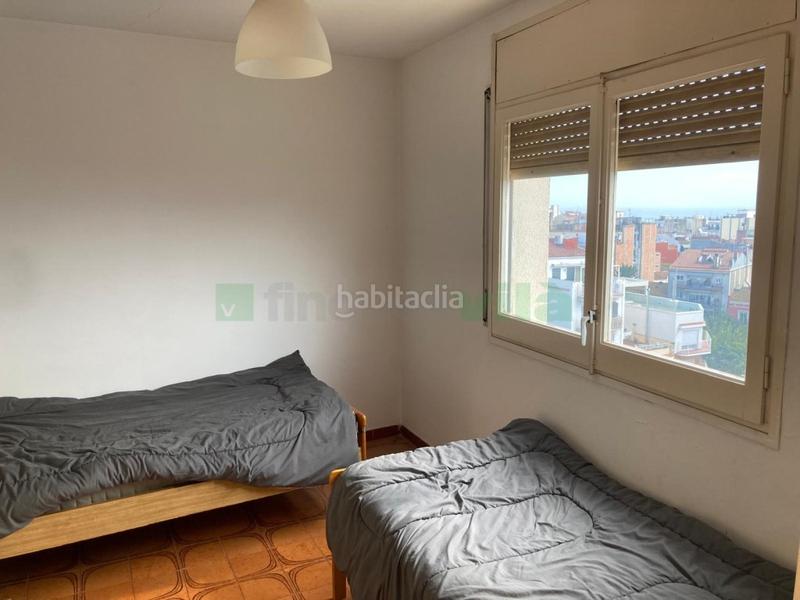 Foto de5c83dc-2ea8-48ac-b701-b15277371d7d. Pis a Calella