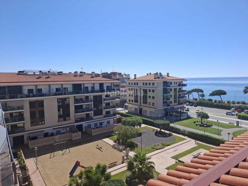 Foto 0a0c1c44-eed0-4b86-a4c8-222c6f5f356d. Pis a Centre Pineda de Mar