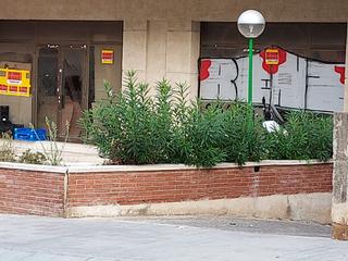 Geschftsraum in La Pineda. Local de 237m2 diafano zona hoteles nuevos immotarraco 682.550.3