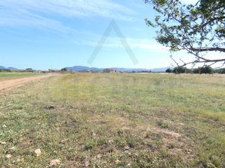 Finca rstica en La Magdalena - Molinos Marfagones. Paraje el palmero