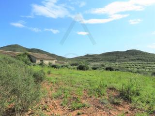 Landgut in Pasaje los perez 5. 3 parcelas rusticas con vivienda registrada en paraje los mendez