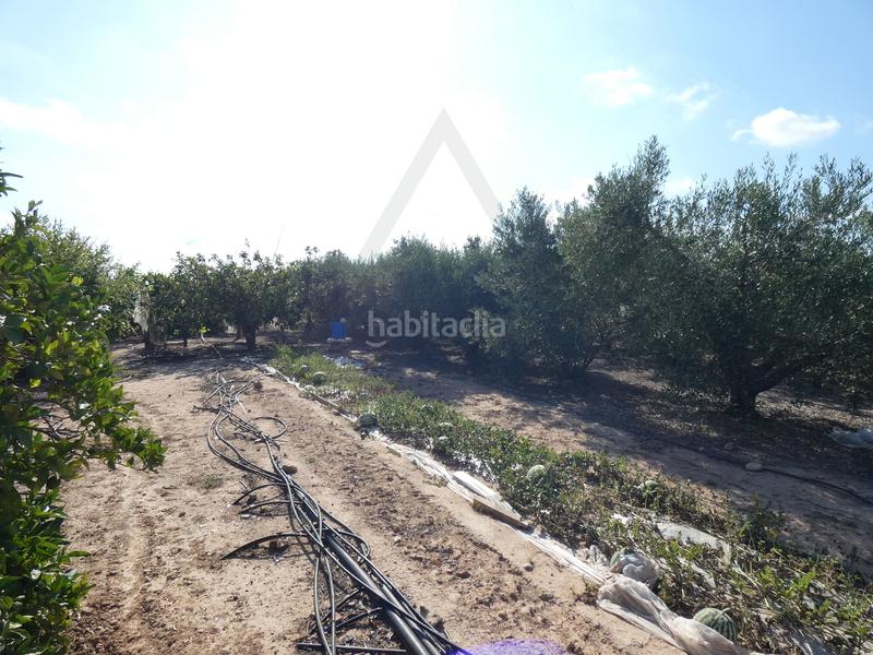 Foto aa237364-bc8e-426c-beeb-7e714174880b. Fondo rustico in lugar los perez 10 in Torre-Pacheco Torre - Pacheco