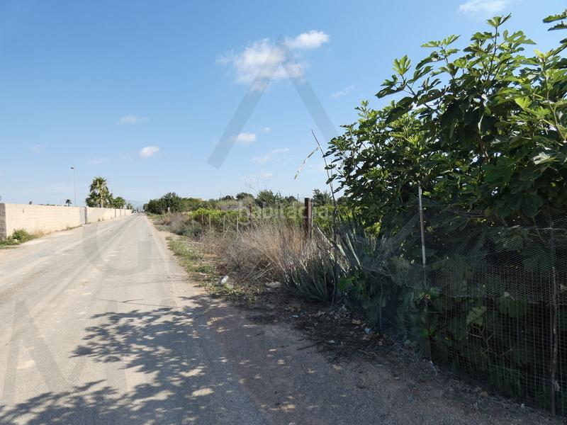 Foto d110b635-b80b-4881-b40e-47fcec1d675d. Fondo rustico in lugar los perez 10 in Torre-Pacheco Torre - Pacheco