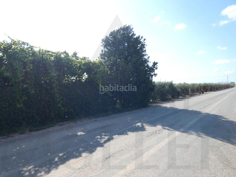Foto e50de126-f07b-4225-bf9b-f8de2d6501ab. Fondo rustico in lugar los perez 10 in Torre-Pacheco Torre - Pacheco