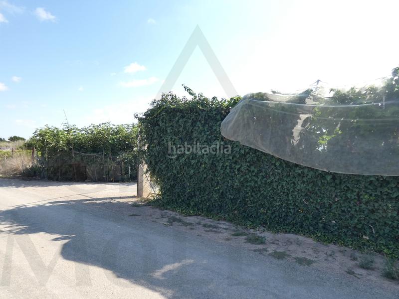 Foto e988c088-5b19-4920-b077-80e218f289c2. Fondo rustico in lugar los perez 10 in Torre-Pacheco Torre - Pacheco