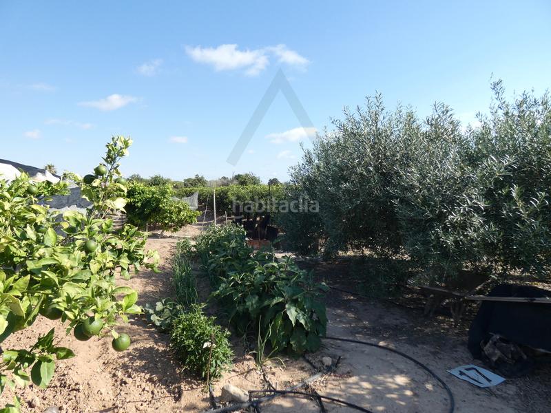 Foto f64ac234-77e1-48a7-8abe-0ab7d0bfb40e. Fondo rustico in lugar los perez 10 in Torre-Pacheco Torre - Pacheco