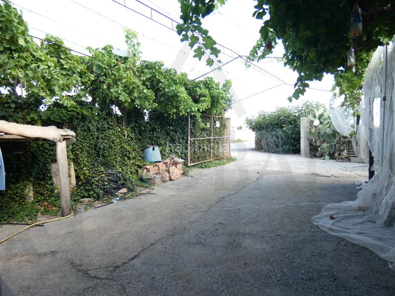Foto fbd9a73d-d2ce-41e4-bebf-0eacaa347b91. Fondo rustico in lugar los perez 10 in Torre-Pacheco Torre - Pacheco