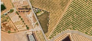 Finca rstica en Lugar los perez 10. Con huerto de 4.445m en el paraje de los meroos