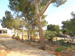 Chalet en Llano del Beal