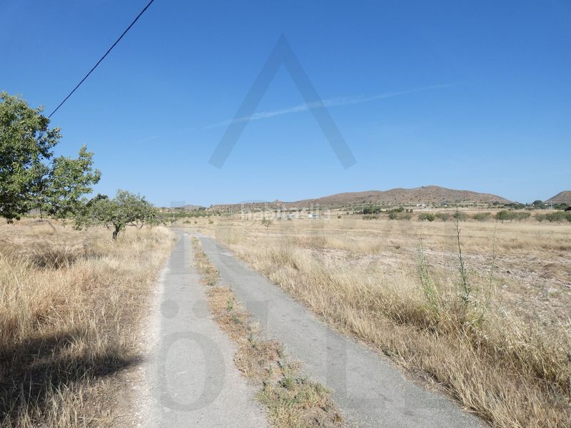 Foto 23783a74-9de0-4411-8864-6484eff80a70. Finca rústica a pasaje las alforjas 3 a Los Puertos Cartagena