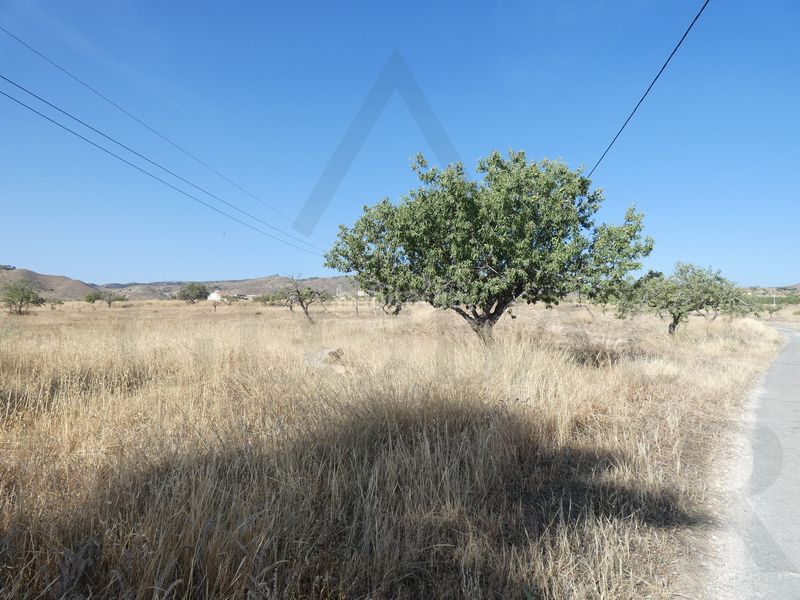 Foto 4dcb7f9e-5335-4482-9a61-4bbd567ae0f2. Finca rústica a pasaje las alforjas 3 a Los Puertos Cartagena