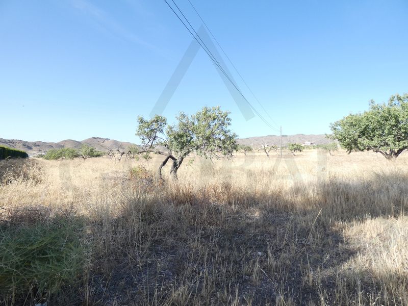Foto cdf2b078-fbf4-43d5-ab67-44a94273513e. Finca rústica a pasaje las alforjas 3 a Los Puertos Cartagena