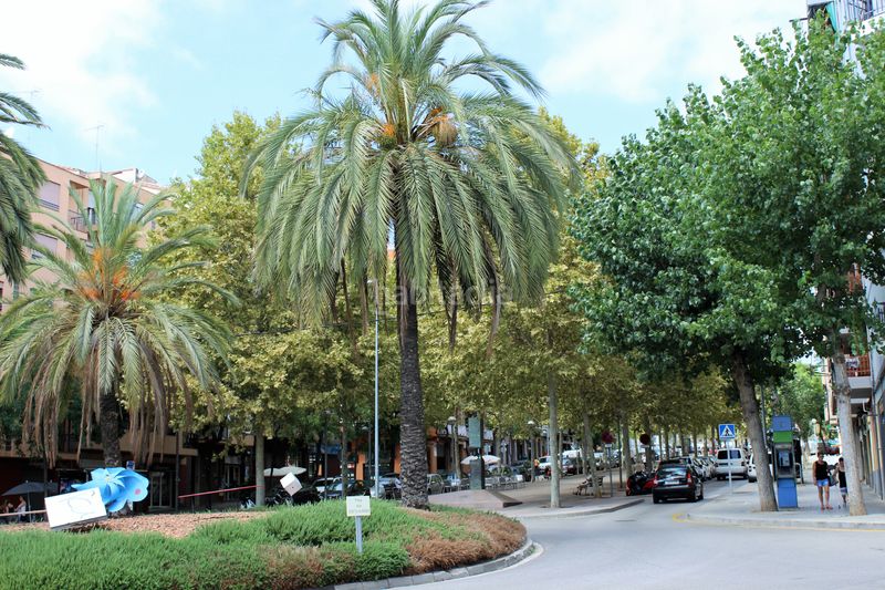 Foto d368091c-6343-40e9-be00-d90e29392166. Planta baixa amb calefacció a Els Molins Mataró