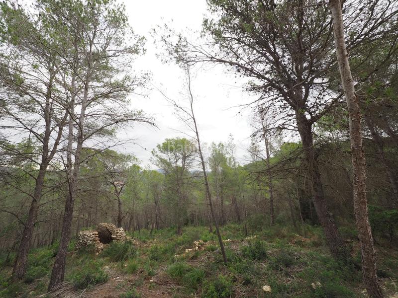 Foto 64eebaf3-5178-4b4d-b0eb-5b96197389e6. Terreny residencial a Puig Moltó - Can Macià Sant Pere de Ribes