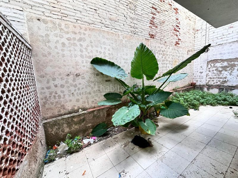 Foto 873d169d-c5be-4217-9f47-09d3bb9897a0. Pis a Port - Horta de Santa Maria Cambrils