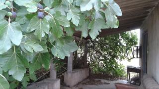 Wohngrundstück in Boverals-Saldonar. Finca con luz y agua de pozo
