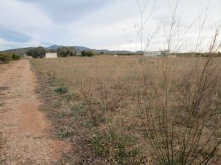 Landgut in Partidas de Interior - Zona Rústica. Finca plana con agua de pozo comunitario en el termino de vinarò