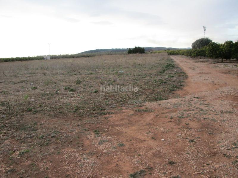 Foto 139d0c47-1e22-488a-9eca-ac4c2eaf1976. Propriété dans Partidas de Interior - Zona Rústica Vinaròs