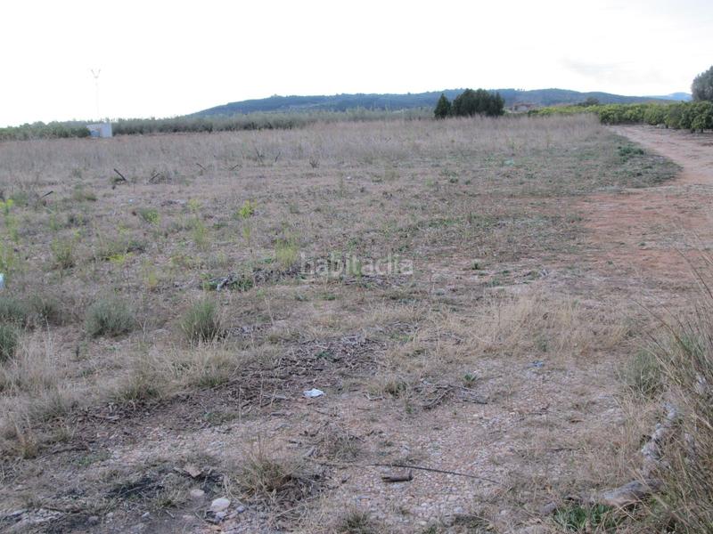 Foto 91a38770-0a78-43c9-9734-d8211058213d. Propriété dans Partidas de Interior - Zona Rústica Vinaròs