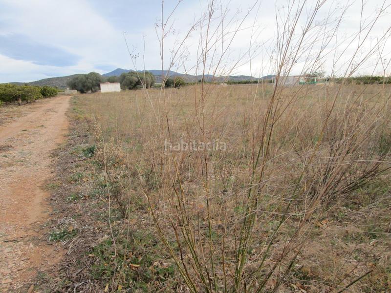 Foto b0e86863-949c-428c-8936-546e41b79431. Propriété dans Partidas de Interior - Zona Rústica Vinaròs