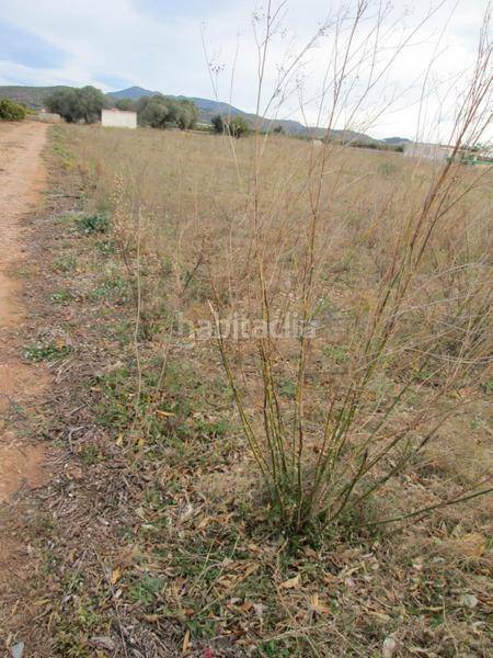 Foto bd57fbd6-5eed-4b78-87b7-748d17ede769. Propriété dans Partidas de Interior - Zona Rústica Vinaròs