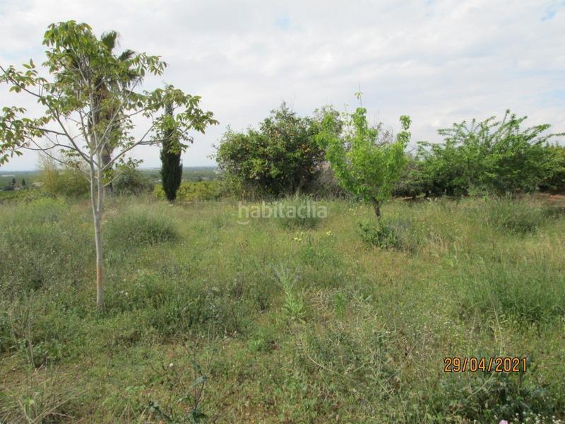 Foto ad0e9db0-0394-48a2-98a9-0054b08e02cc. Fondo rustico in Partidas de Interior - Zona Rústica Vinaròs