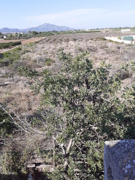 Foto 27ff40ab-eff7-401c-8ff4-221263a9a9c5. Finca rústica gran finca rústica de 22.208 m2 con casa de campo para rehabilitar en Vinaròs