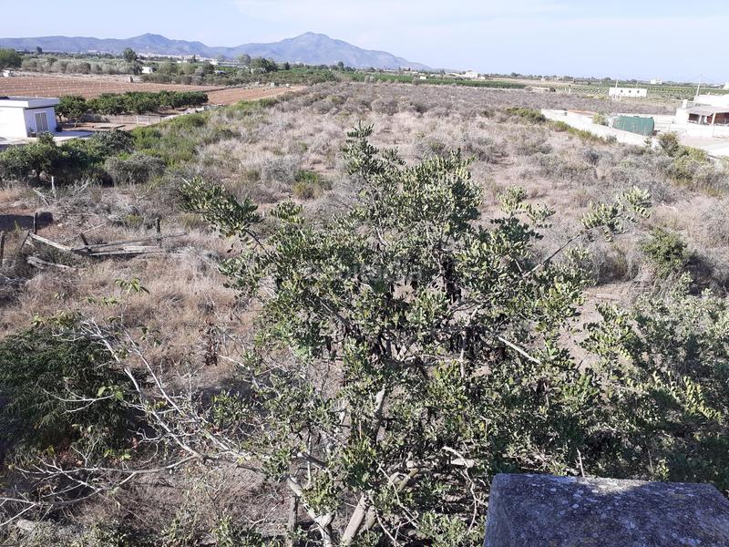 Foto c5f6ea24-b7cf-4575-b32f-9127397e3cfe. Finca rústica gran finca rústica de 22.208 m2 con casa de campo para rehabilitar en Vinaròs