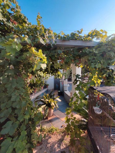 Foto ff036650-5cc5-4bfe-a911-e9cd80ff4182. Chalet con camino riscaldamento parcheggio piscina in Vinaròs