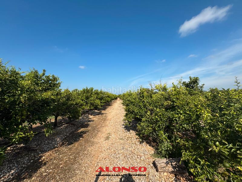 Foto 24dde520-fce6-4b35-b123-e18b54c14d2a. Masía finca rustica vinaros en Casco Urbano Vinaròs