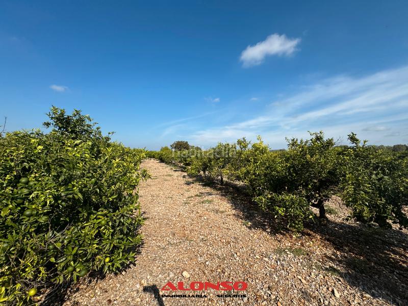 Foto b6523dd2-4a53-476b-bf59-c72dc0faffcd. Masía finca rustica vinaros en Casco Urbano Vinaròs