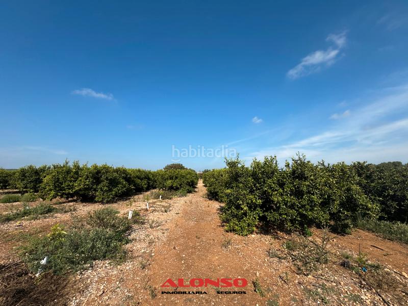 Foto b670b6e0-c8c1-409b-bf27-19f51a8f5b11. Masía finca rustica vinaros en Casco Urbano Vinaròs