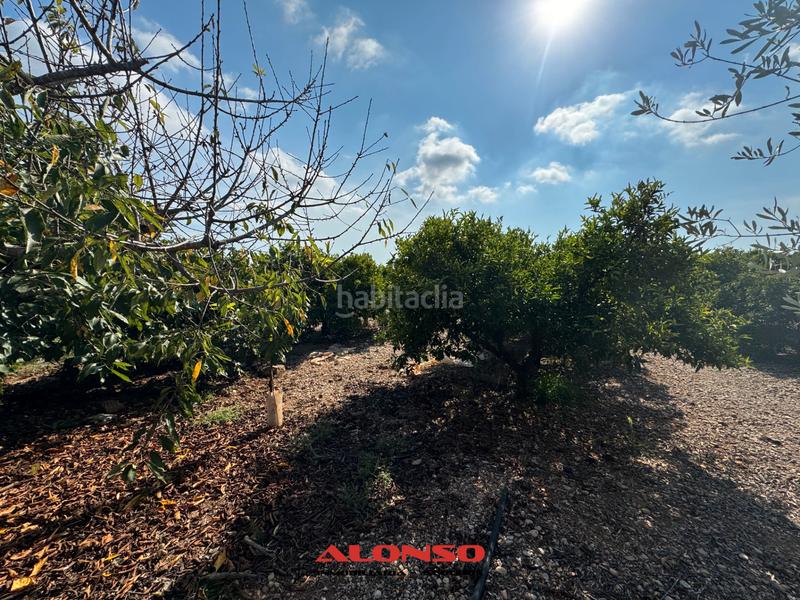 Foto c5b24f67-2f5d-417f-85c8-f9eea37e47ca. Masía finca rustica vinaros en Casco Urbano Vinaròs