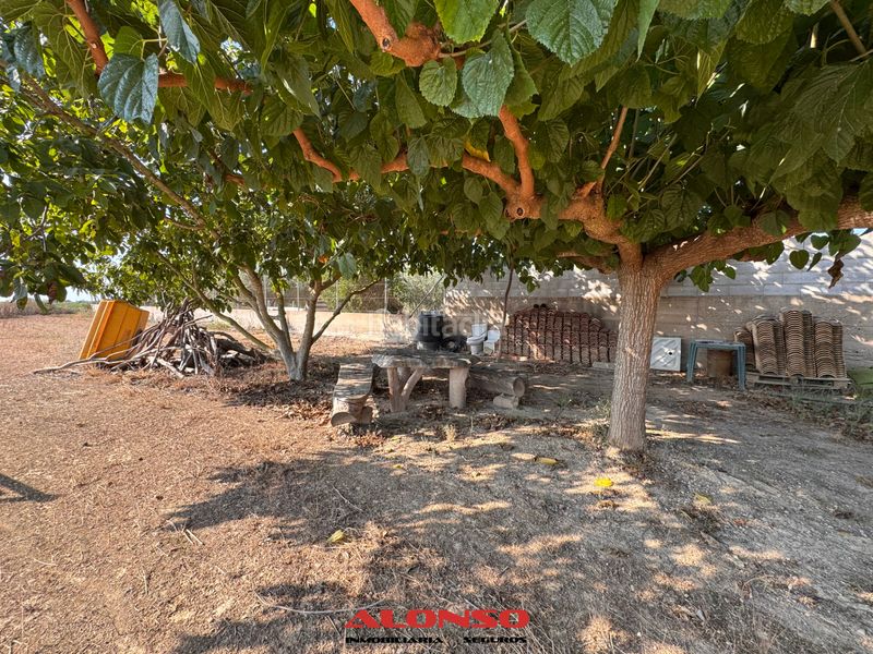Foto 4d1ef406-ba04-4a1a-9ac8-a81e47cb4ad5. Finca rústica a Pueblo Benicarló