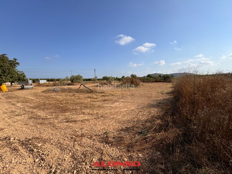 Foto 997c4c28-f341-4203-a7c6-7c58234397c3. Finca rústica a Pueblo Benicarló
