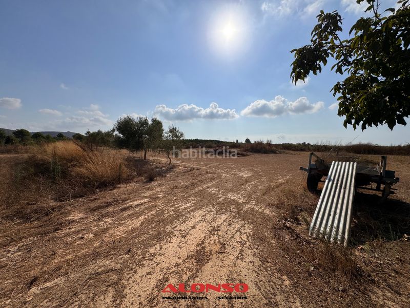 Foto ab4a15a8-77f9-4b2d-b82a-add14591f59b. Finca rústica a Pueblo Benicarló