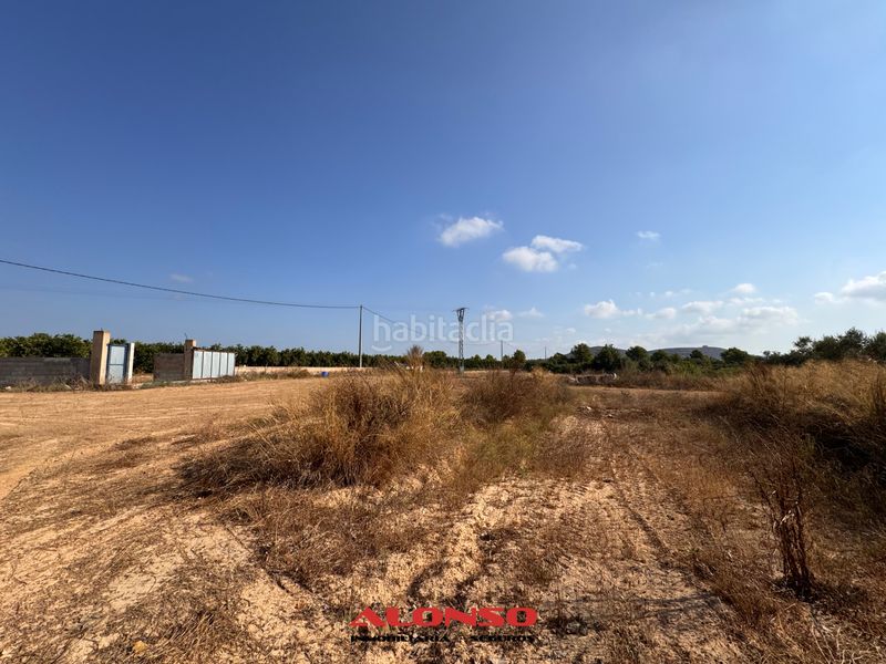 Foto d67a0621-2788-447b-9f9a-7ec2905b2c30. Finca rústica a Pueblo Benicarló