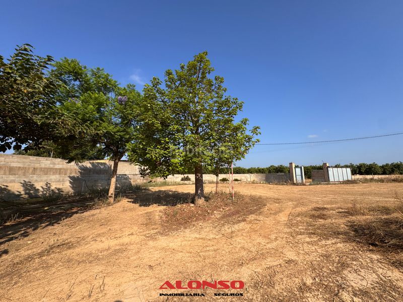 Foto ee0d5f49-965d-469d-9f02-e7bac450ba00. Finca rústica a Pueblo Benicarló