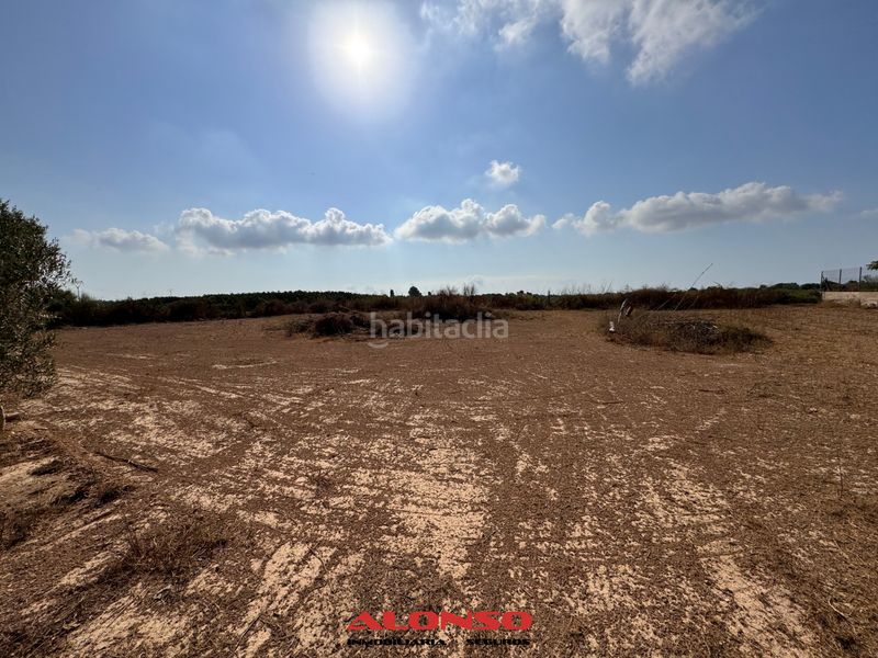 Foto f1243669-9300-405f-9eb3-d0ed465a60fa. Finca rústica a Pueblo Benicarló