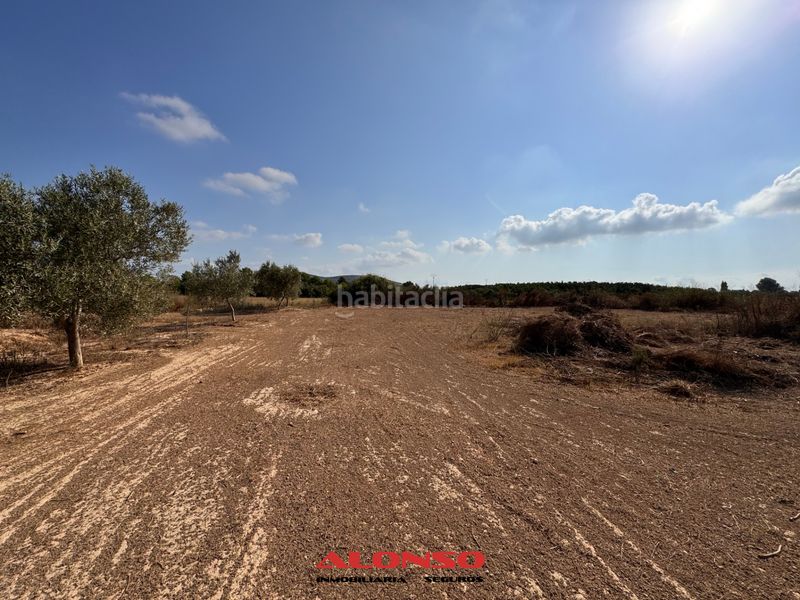 Foto fe1ab58e-9ac3-4071-9011-a070715fdbdd. Finca rústica a Pueblo Benicarló