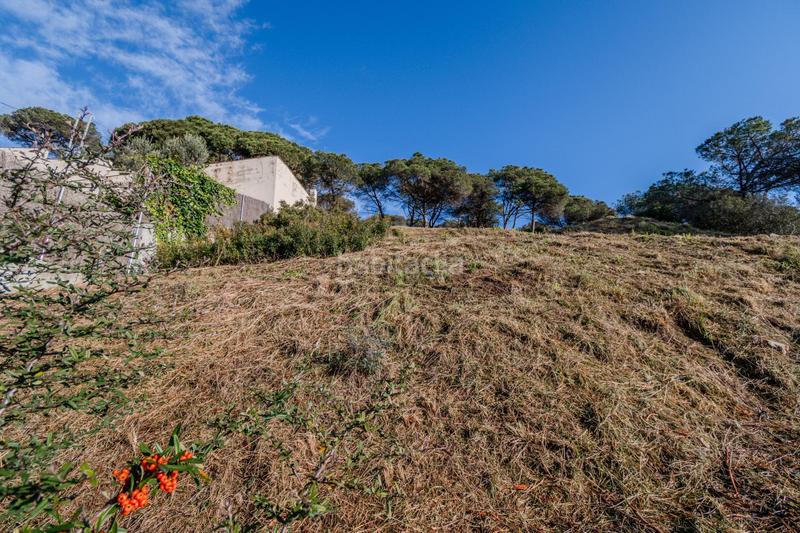 Foto 7c084117-a2a6-41ae-a704-868e1a3b1f41. Terreny residencial a Dosrius poble Dosrius