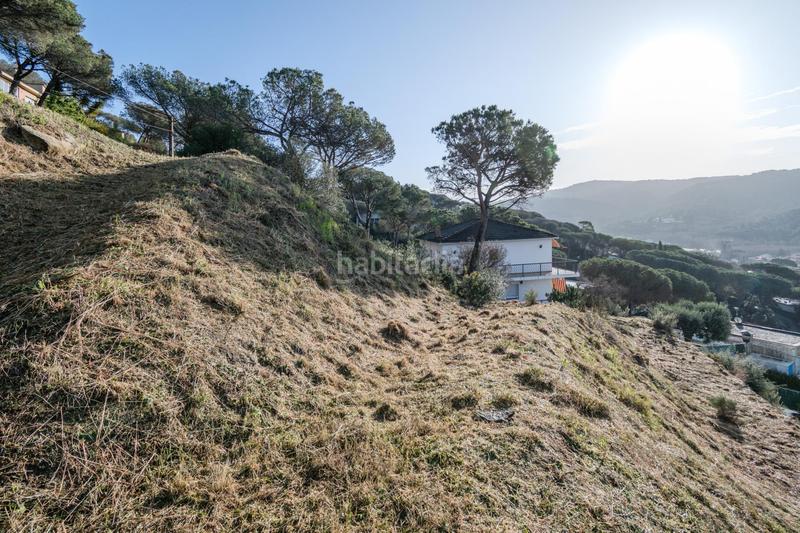 Foto ed0ebd77-0d95-4f80-8528-f2de8c7b0749. Terreny residencial a Dosrius poble Dosrius