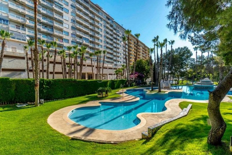 Foto cb87e2e6-cd2a-49a6-852d-6d83590c17ec. Pis amb piscina a Campoamor Orihuela
