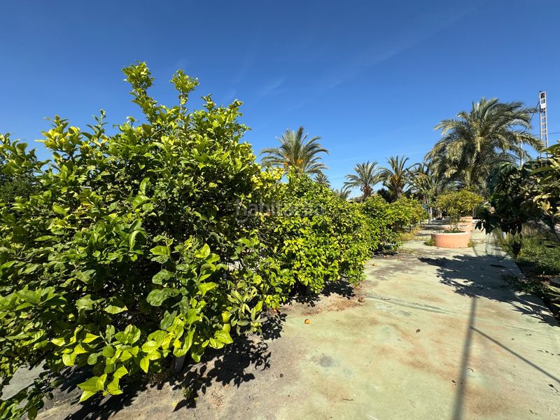 Foto 50500334-8779-4921-9f40-43728ff4417d. Casa amb aparcament piscina a Perleta - Maitino Elche / Elx