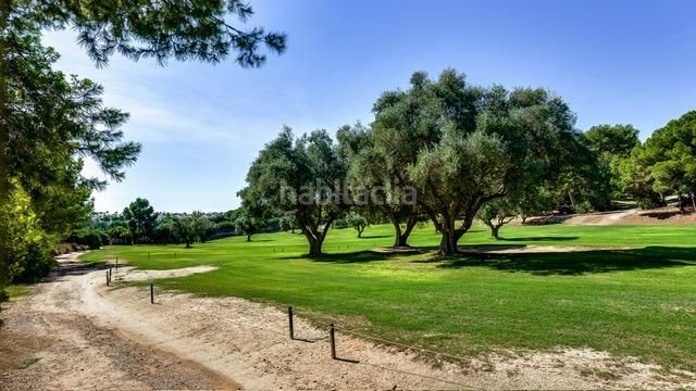 Foto e58b773d-c200-46d7-89ec-de0589f8950c. Pis amb piscina a Los Almendros Orihuela