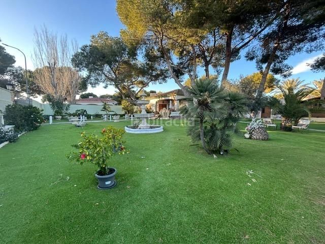 Foto a9dbc316-69e8-4c06-bafe-5fb97498fa7d. Casa amb piscina a Campoamor Orihuela