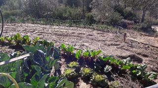 Finca rústica en Els Avets-Can Serrafossà-Ximelis. Finca rústica